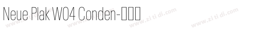 Neue Plak W04 Conden字体转换